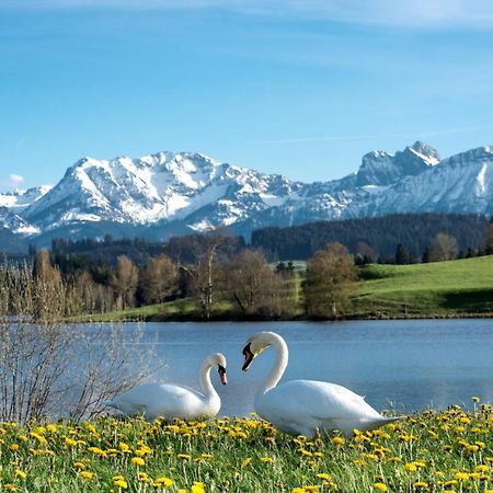 Direkt Am See Mit Bergblick 시그 외부 사진