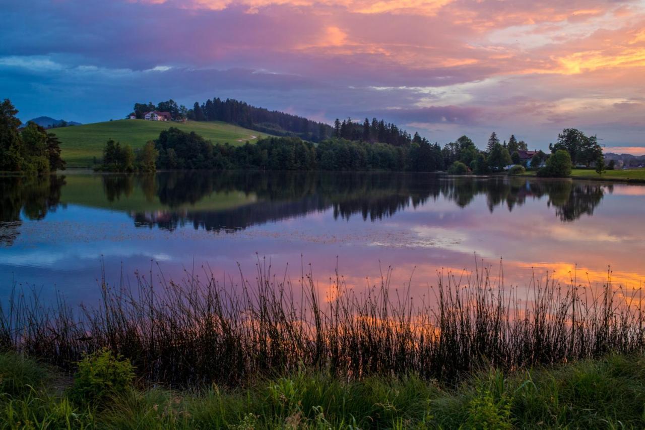 Direkt Am See Mit Bergblick 시그 외부 사진