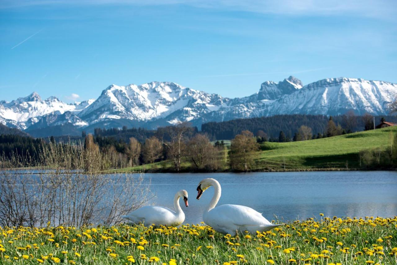 Direkt Am See Mit Bergblick 시그 외부 사진